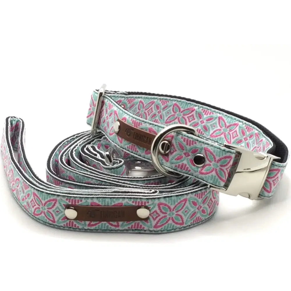 Finnigan’s designer dog collar no.14l - Collar & Lead Set