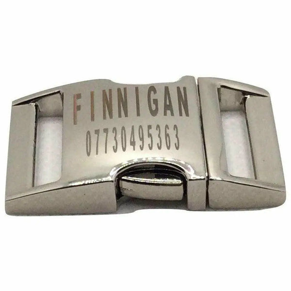 Finnigan’s designer dog collar: stylish & durable 🐕