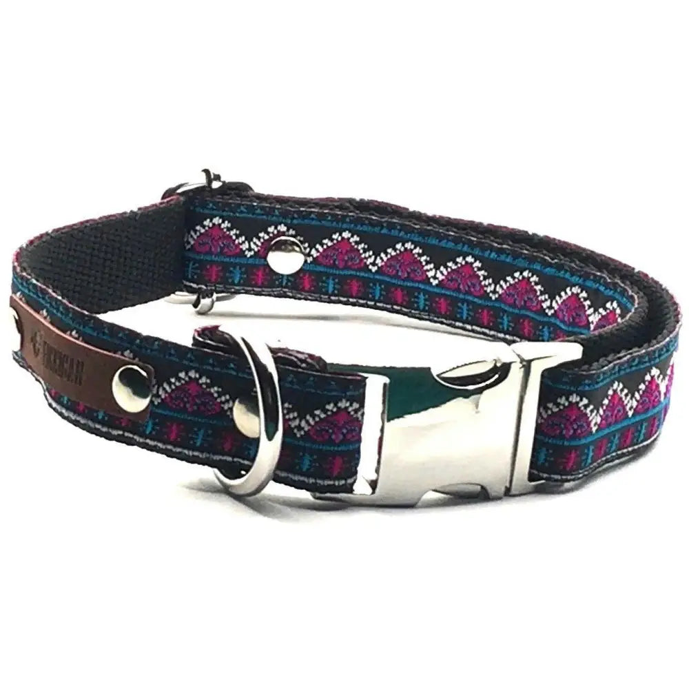 Finnigan’s durable designer dog collar: stylish