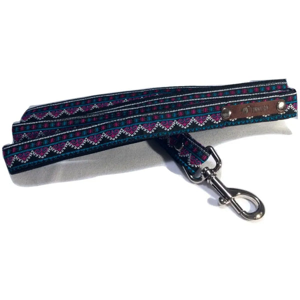 Finnigan’s durable designer dog collar: stylish