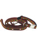 Finnigan’s wholesale durable designer dog collar no.19m