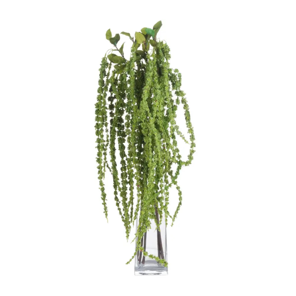 Green amaranthus - Single Stem Flowers