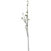 Green berry willow stem - Spring Stems