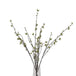 Green berry willow stem - Spring Stems