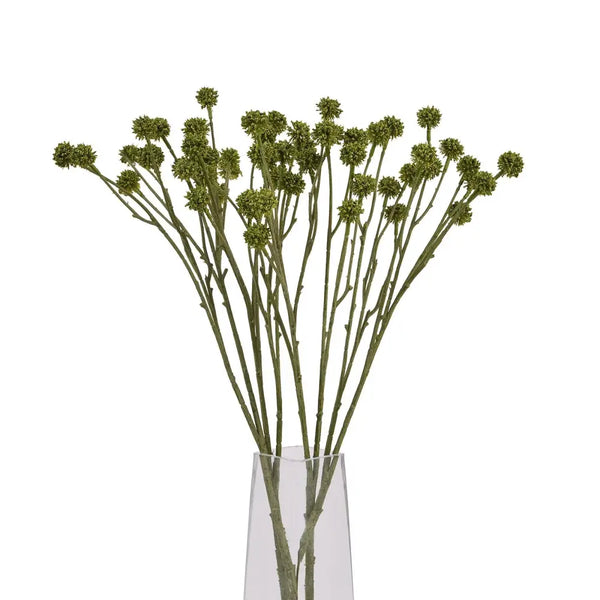 Green craspedia stem - Single Stem Flowers