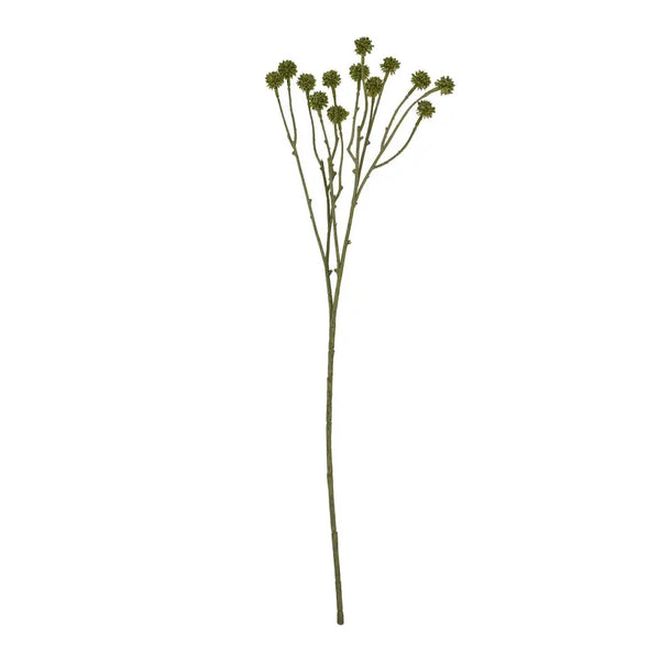 Green craspedia stem - Single Stem Flowers