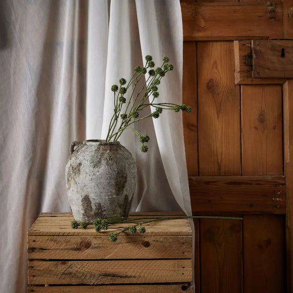 Green craspedia stem - Single Stem Flowers