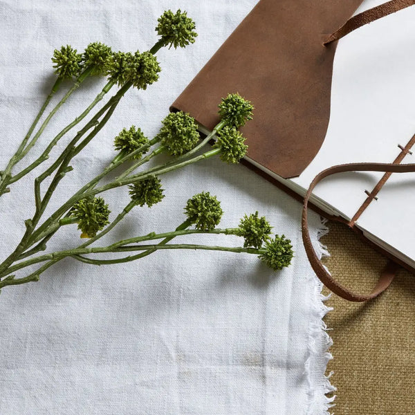 Green craspedia stem - Single Stem Flowers