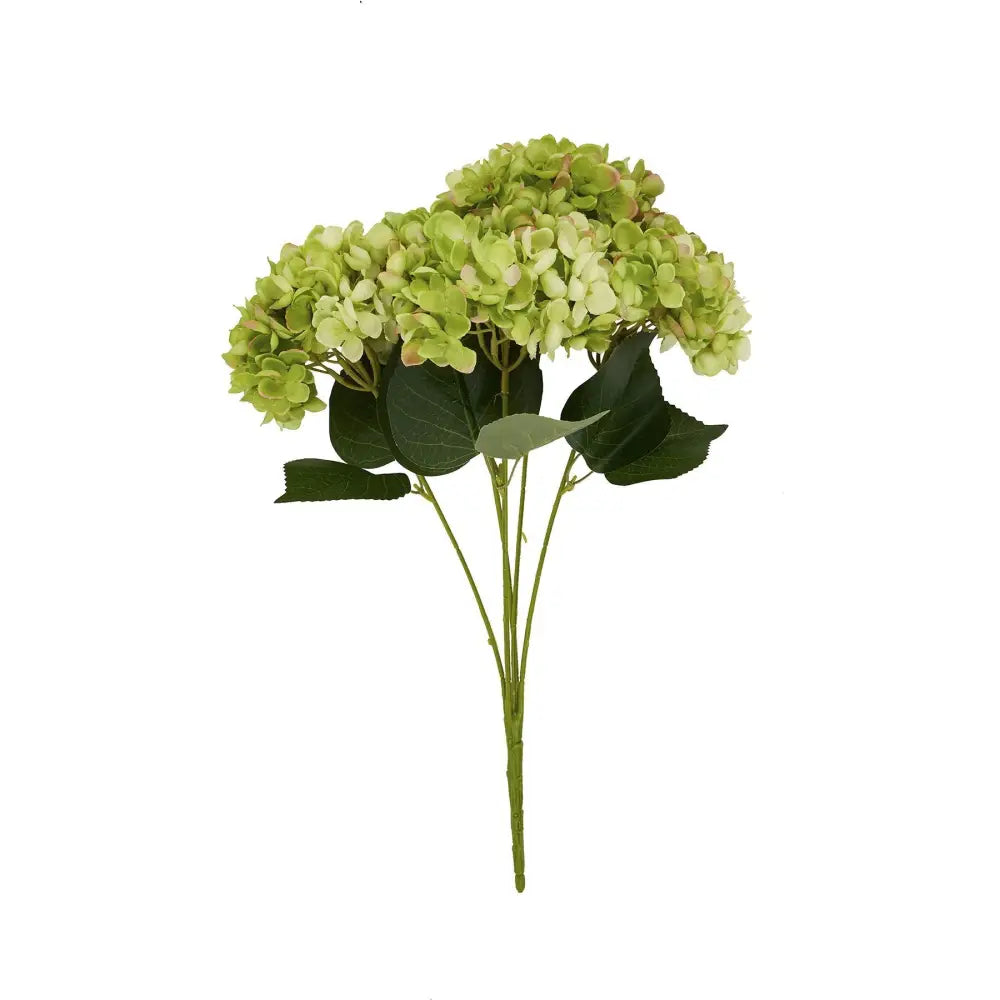 Green hydrangea bunch - Single Stem Flowers