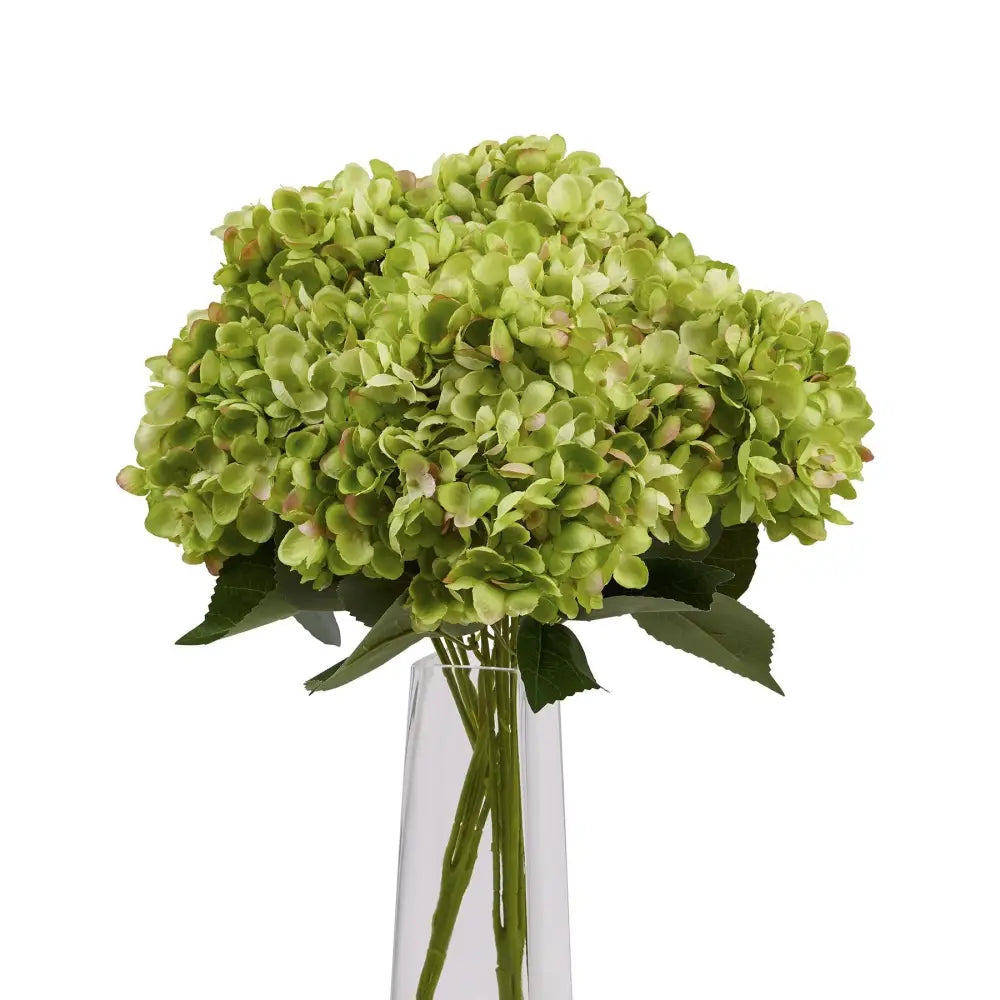 Green hydrangea bunch - Single Stem Flowers