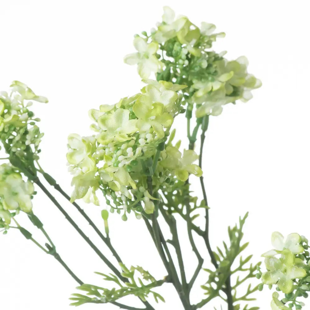 Green plumb blossom spray - Spring Stems