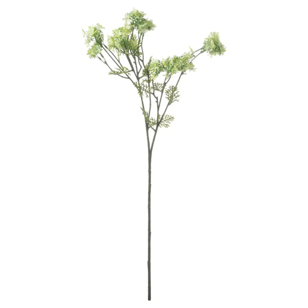 Green plumb blossom spray - Spring Stems