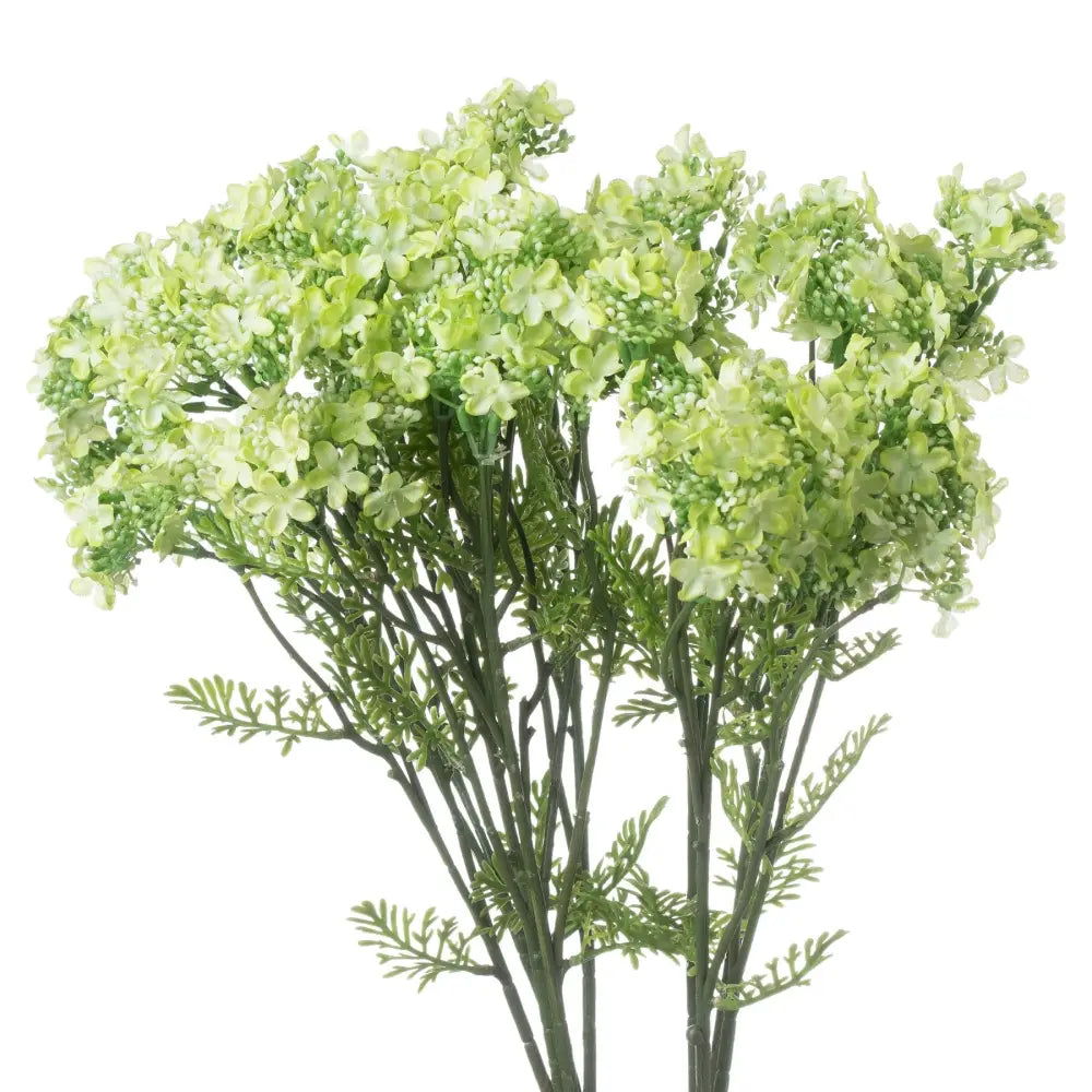 Green plumb blossom spray - Spring Stems