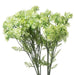 Green plumb blossom spray - Spring Stems