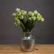 Green tulip - Spring Stems