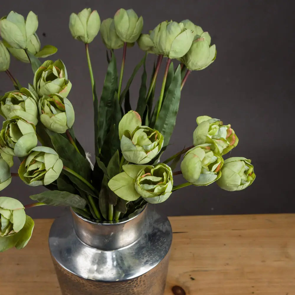 Green tulip - Spring Stems