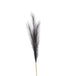 Grey faux pampas grass stem - Single Stem Flowers