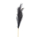 Grey large faux pampas grass stem - Single Stem Flowers