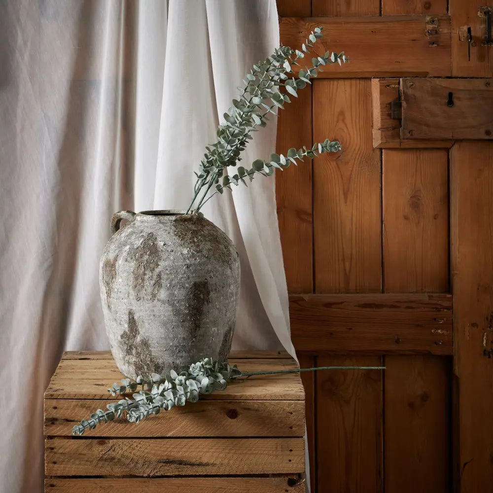 Gunnii blue eucalyptus spray - Single Stem Flowers