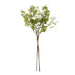 Italian white bellflower - Single Stem Flowers