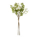 Italian white bellflower - Single Stem Flowers