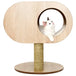 Jack and vanilla cat tree cocoon molly 48x48x62 cm brown