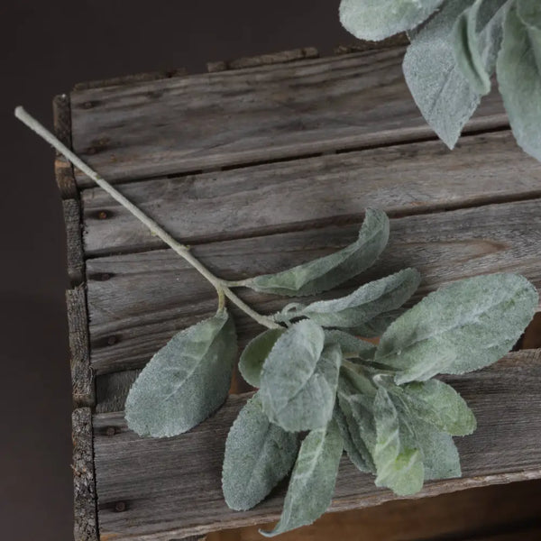 Lambs ear spray - Christmas Decorations