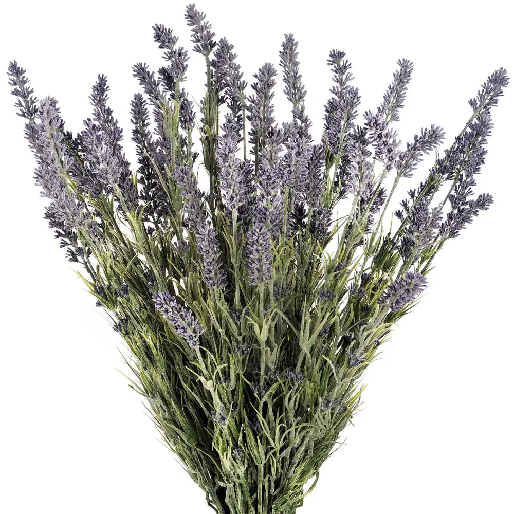 Large lavender bush - Single Stem Flowers