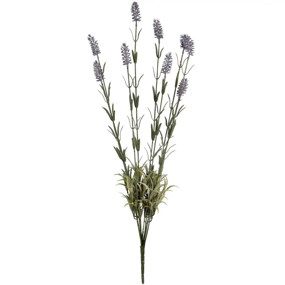 Large lavender spray - Single Stem Flowers