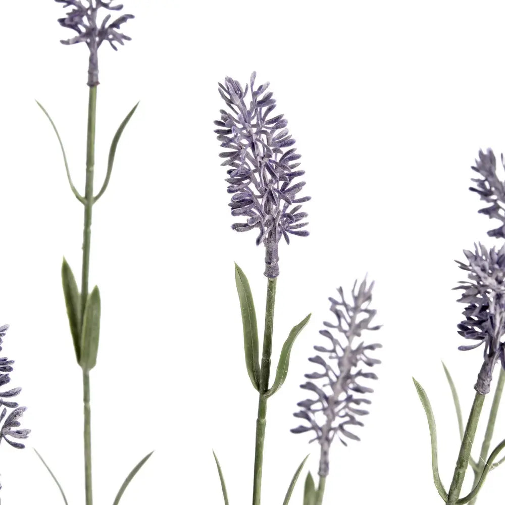 Large lavender spray - Single Stem Flowers