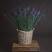 Large lavender spray - Single Stem Flowers