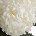 Large white chrysanthemum - Autumn Stems