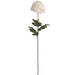 Large white chrysanthemum - Autumn Stems