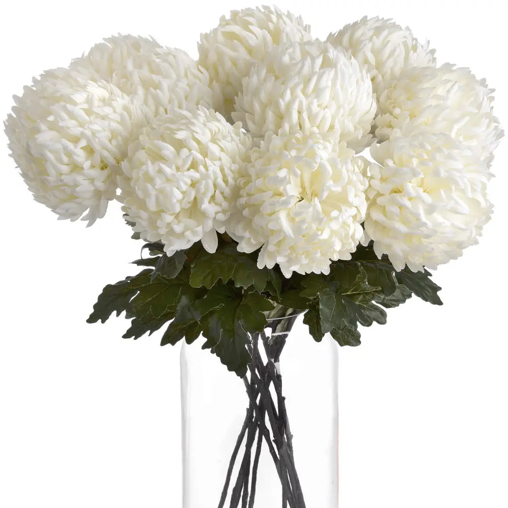 Large white chrysanthemum - Autumn Stems