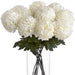 Large white chrysanthemum - Autumn Stems