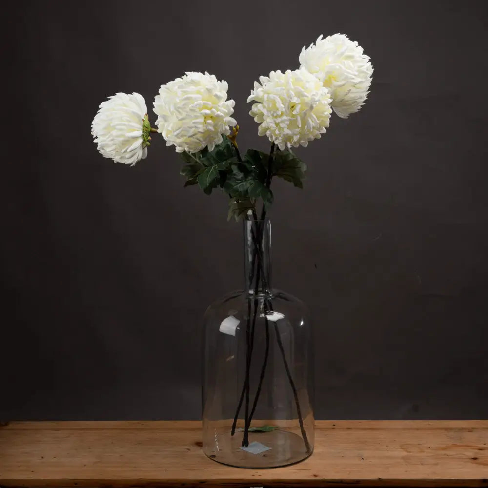 Large white chrysanthemum - Autumn Stems