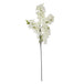 Large white full cherry blossom stem - Spring Stems