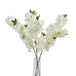 Large white full cherry blossom stem - Spring Stems