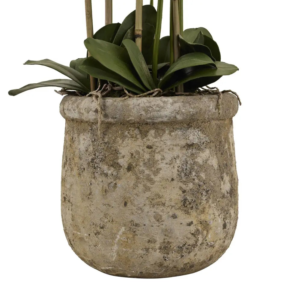 Large white orchid in antique stone pot - All Artificial