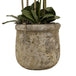 Large white orchid in antique stone pot - All Artificial