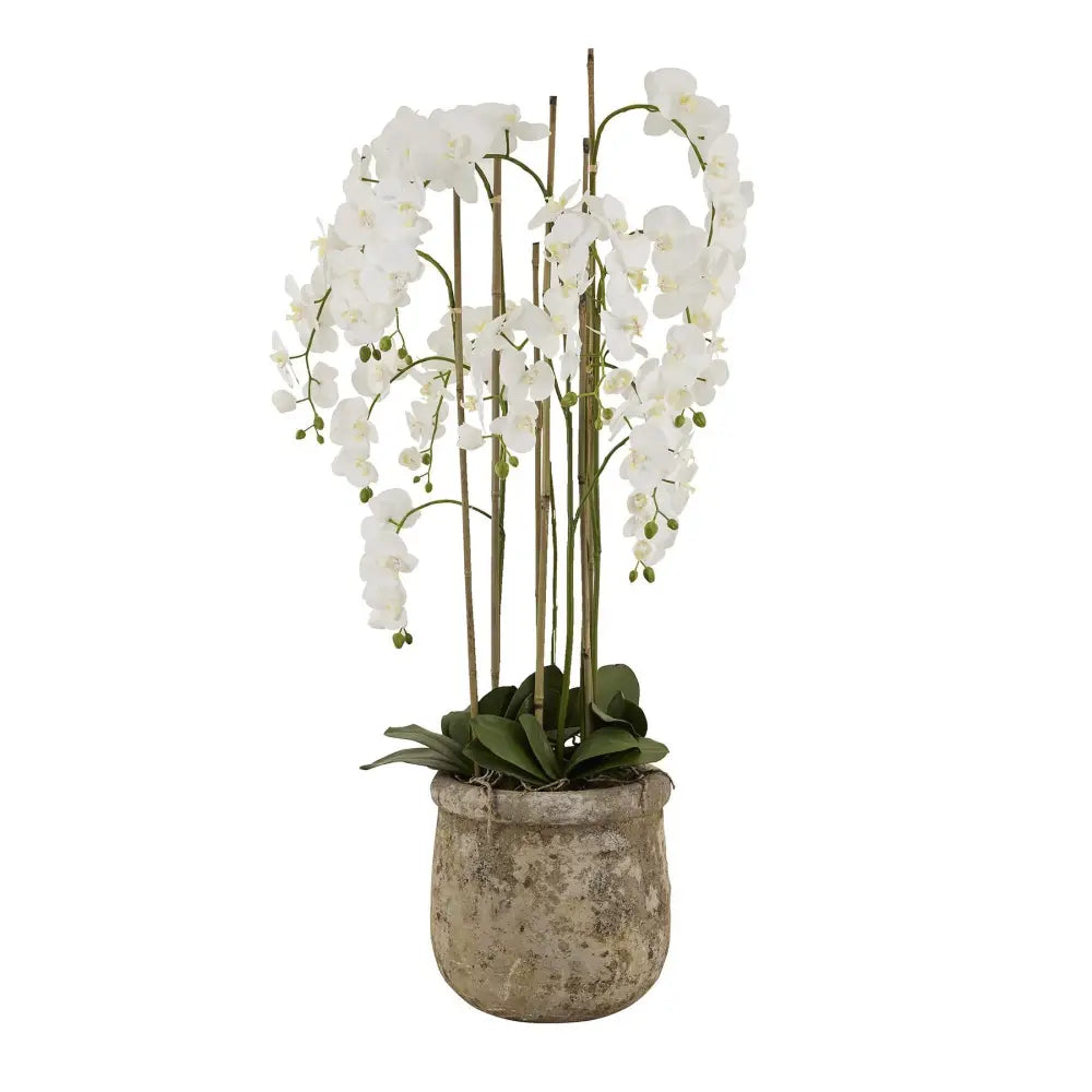 Large white orchid in antique stone pot - All Artificial