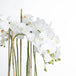 Large white orchid in glass pot - All Artificial Flowers