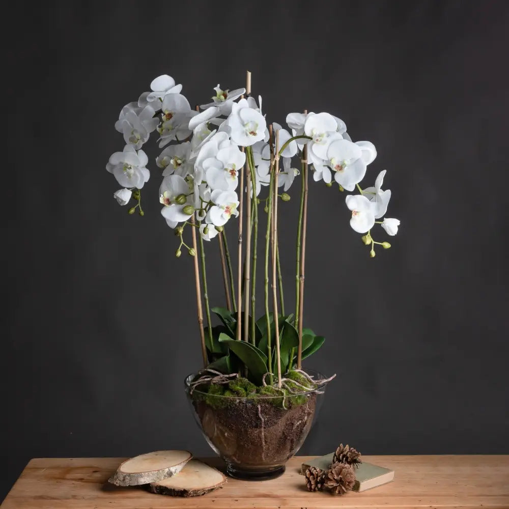 Large white orchid in glass pot - All Artificial Flowers