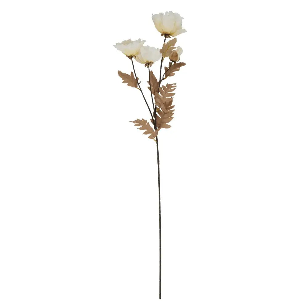 Large white poppy stem - Spring Stems