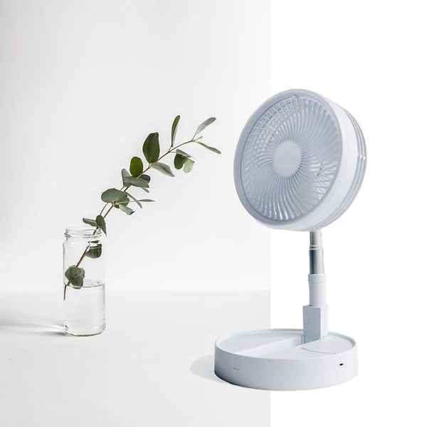 Lifemax rechargeable foldaway fan