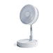 Lifemax rechargeable foldaway fan