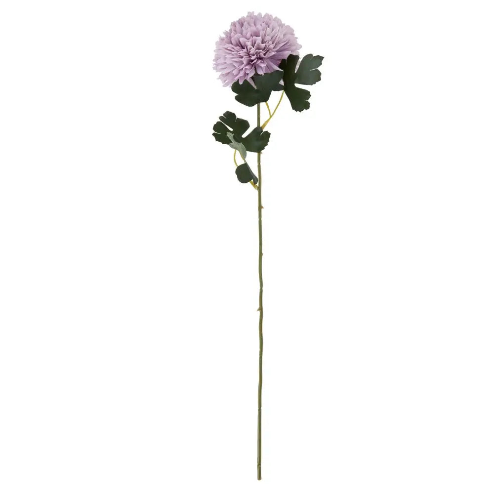 Light purple chrysanthemum - Single Stem Flowers