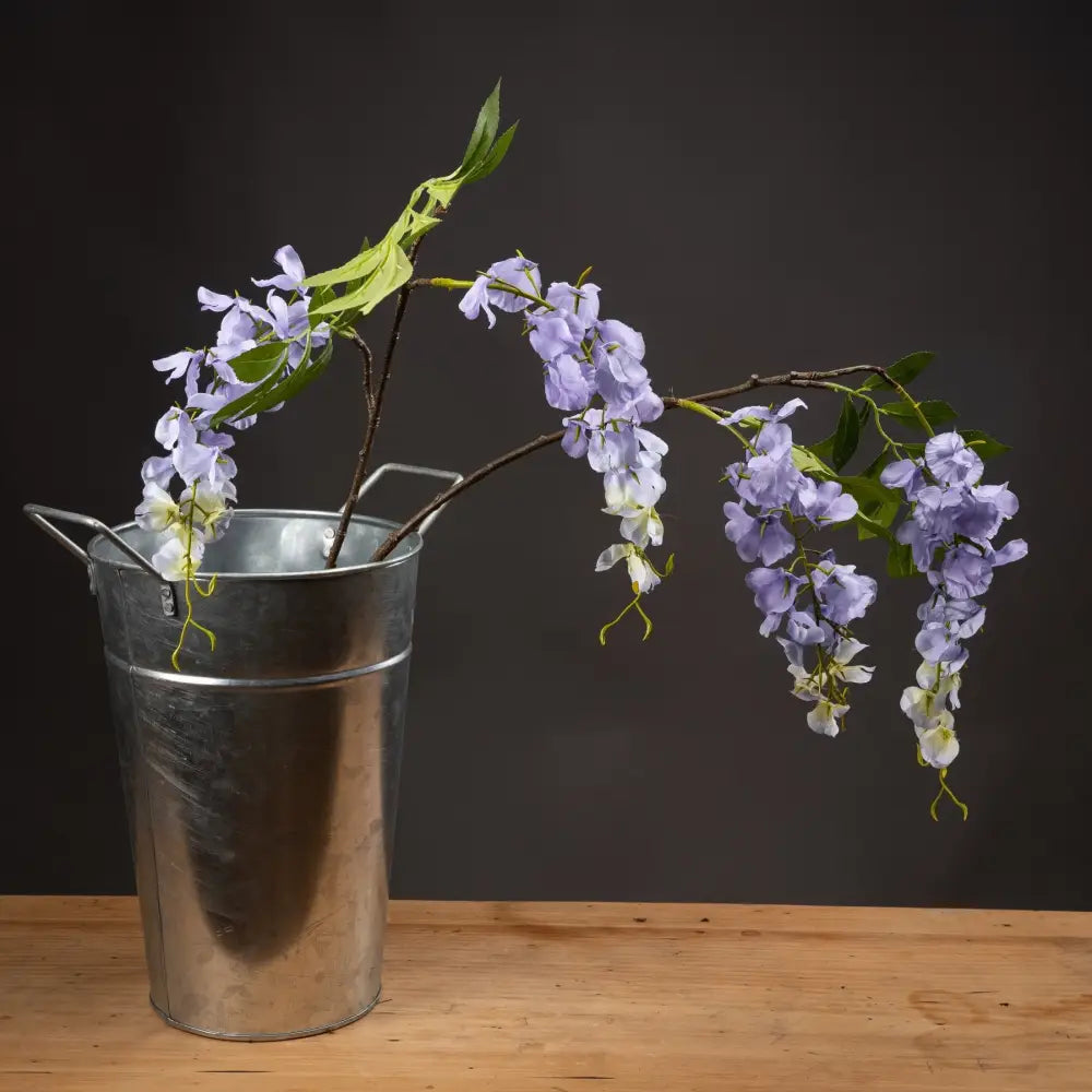 Lilac wisteria - Spring Stems