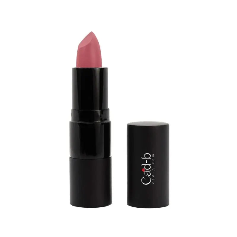 Lipstick allure - p009 | vegan paraben free vitamin e