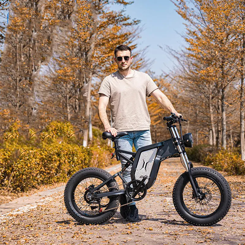 Lithium Battery Assist For Off-road Electric Bicycle Nexellus